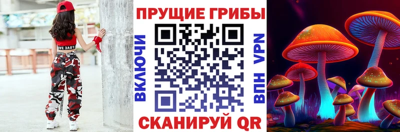 Псилоцибиновые грибы мицелий omg зеркало Нововоронеж закладки