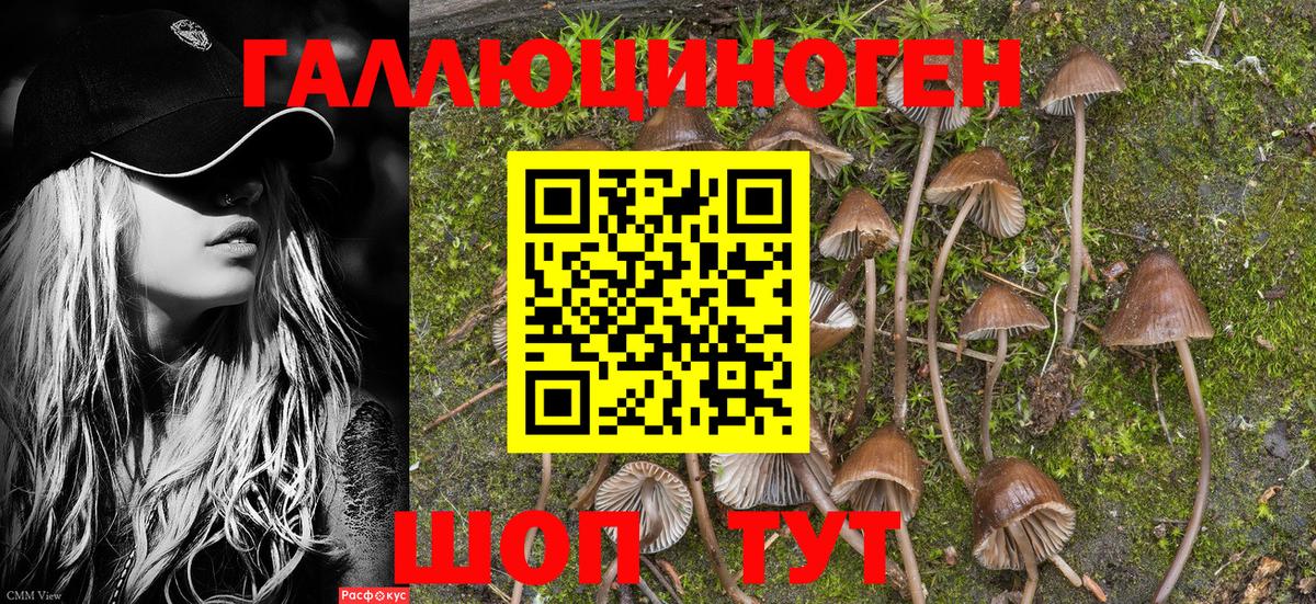 Нововоронеж  Псилоцибиновые грибы Psilocybine cubensis  Галлюциногенные грибы мицелий  Вход с VPN 