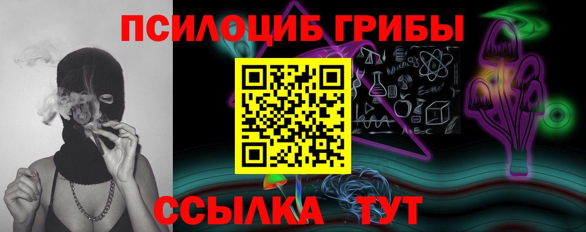 Псилоцибиновые грибы Cubensis Нововоронеж